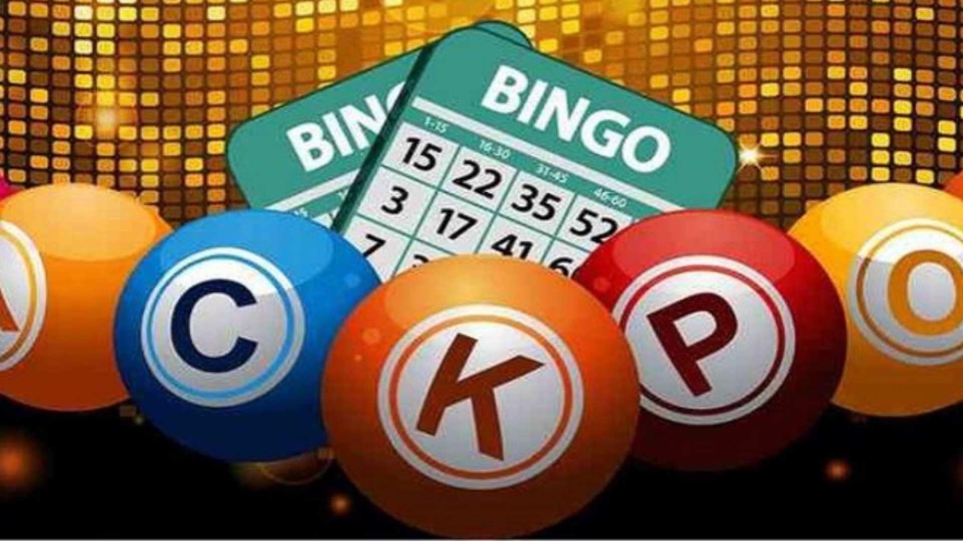 Explore Exciting Bingo Experiences Together